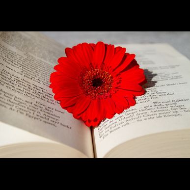 松戸で高収入の軽貨物のお仕事をお探しの方へ